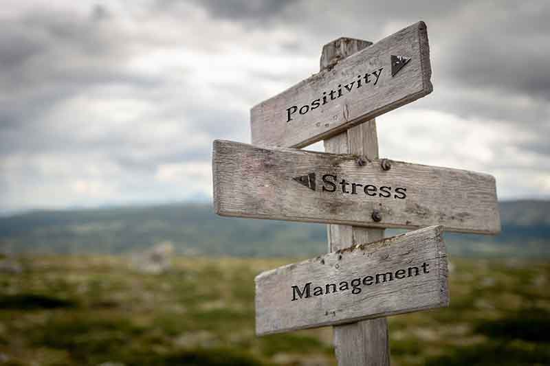 Stress Management & Counseling Services